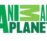 Animal Planet